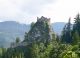 Eppenstein-Burg-Ruine