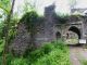 Falkenstein-Ruine