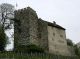 Habsburg - Burg