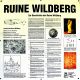 Elisabeth von Wildberg